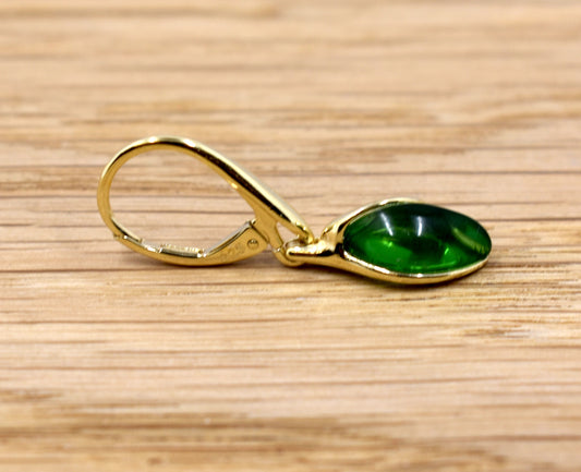 Caribiske rav øreringe