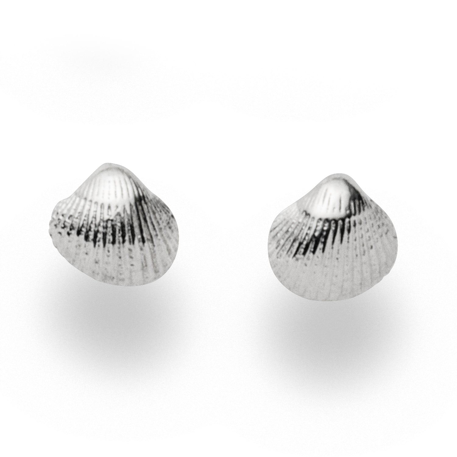 Ohrstecker "Muschel"