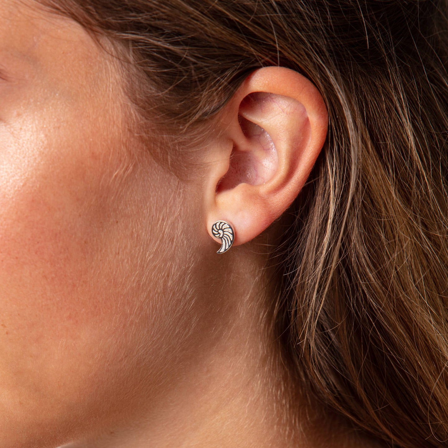 Stud earrings "Sand nautilus"
